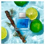 Perfume Antônio Banderas Blue Seduction For Men Eau de Toilette 200ml